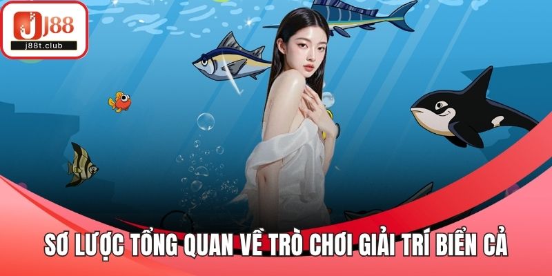 Sơ lược tổng quan về trò chơi giải trí biển cả